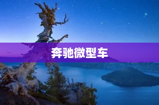 奔驰微型车:城市出行新选择 奔驰微型车:城市出行新选择