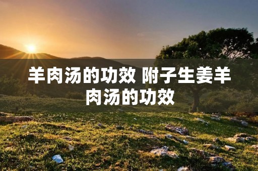 羊肉汤的功效 附子生姜羊肉汤的功效