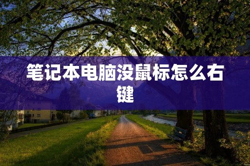 笔记本电脑没鼠标怎么右键