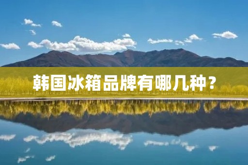 韩国冰箱品牌有哪几种？