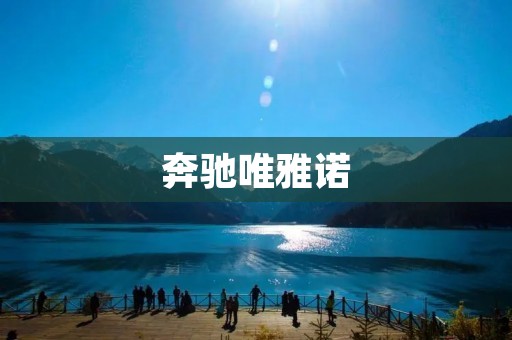 奔驰唯雅诺：纯粹的奢华体验