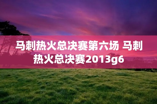 马刺热火总决赛第六场 马刺热火总决赛2013g6