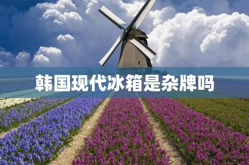 韩国现代冰箱是杂牌吗：揭开真相