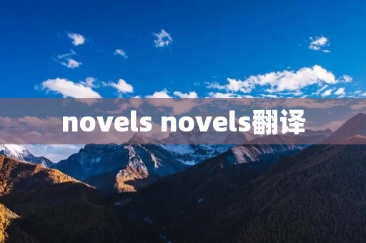 novels novels翻译