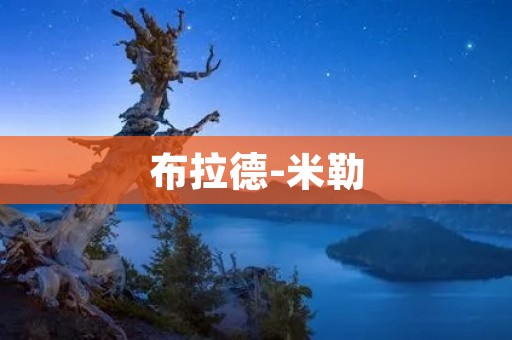 布拉德-米勒：一位颠覆性的导演