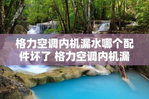 格力空调内机漏水哪个配件坏了 格力空调内机漏水哪个配件坏了呢