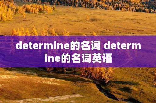 determine的名词 determine的名词英语