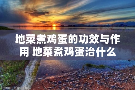 地菜煮鸡蛋的功效与作用 地菜煮鸡蛋治什么病 地菜煮鸡蛋的功效与作用 地菜煮鸡蛋治什么病