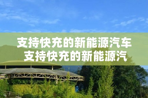 支持快充的新能源汽车 支持快充的新能源汽车10万内