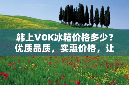 韩上VOK冰箱价格多少?优质品质,实惠价格,让你省钱又省心! 韩上VOK冰箱价格多少?优质品质,实惠价格,让你省钱又省心!