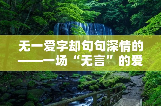 无一爱字却句句深情的——一场“无言”的爱情
