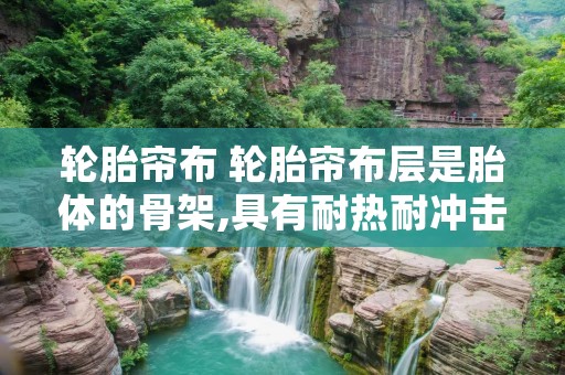 轮胎帘布 轮胎帘布层是胎体的骨架,具有耐热耐冲击和抗割裂性 轮胎帘布 轮胎帘布层是胎体的骨架,具有耐热耐冲击和抗割裂性