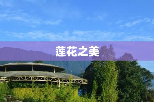 莲花之美:品质的探究
