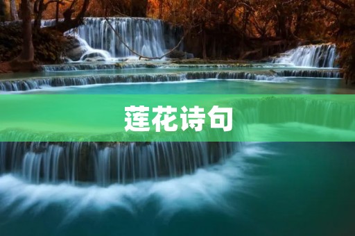 莲花诗句:湖上莲花开,清风徐徐来