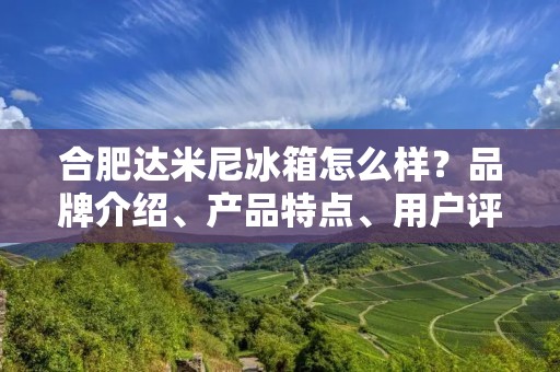 合肥达米尼冰箱怎么样?品牌介绍、产品特点、用户评价、售后服务全面解析 合肥达米尼冰箱怎么样?品牌介绍、产品特点、用户评价、售后服务全面解析