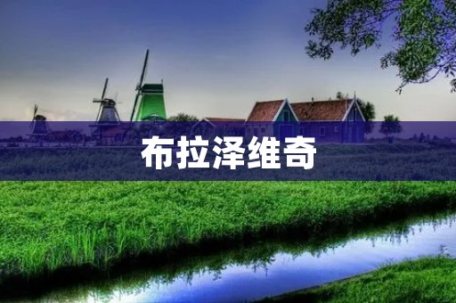 布拉泽维奇:探索音乐的极致 布拉泽维奇:探索音乐的极致