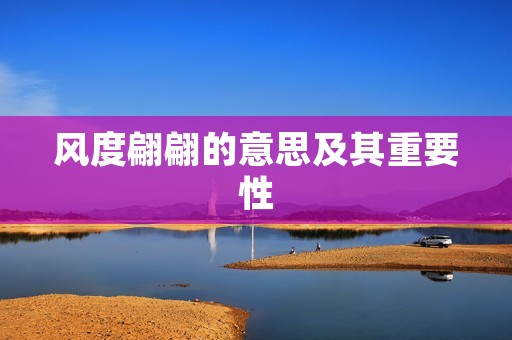 风度翩翩的意思及其重要性