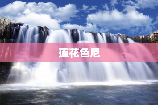 莲花色尼:一种神秘的色彩