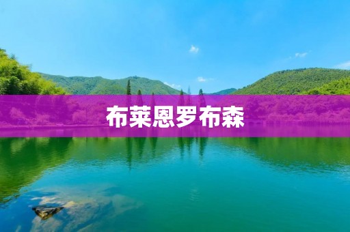 布莱恩罗布森：足坛传奇的生涯与成就