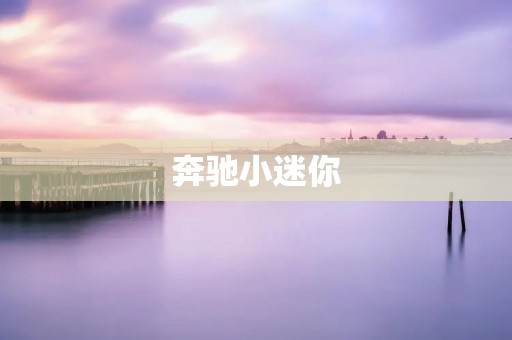 奔驰小迷你:体验德国工艺与精致品质 奔驰小迷你:体验德国工艺与精致品质