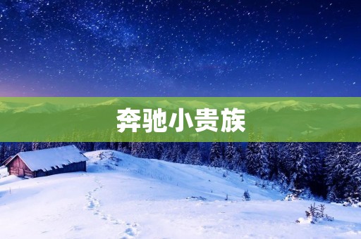 奔驰小贵族:豪华品质的新选择 奔驰小贵族:豪华品质的新选择