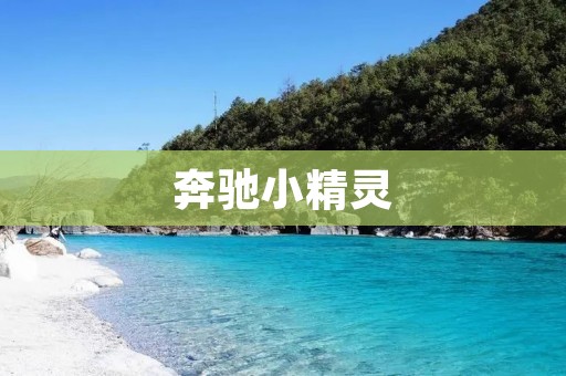 奔驰小精灵:跨界SUV的新标杆 奔驰小精灵:跨界SUV的新标杆