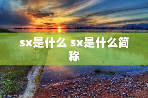 sx是什么 sx是什么简称
