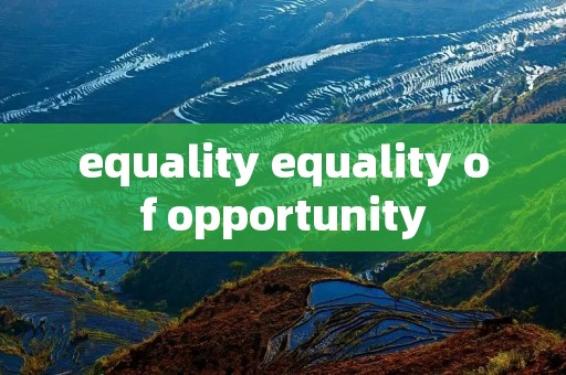 equality equality of opportunity