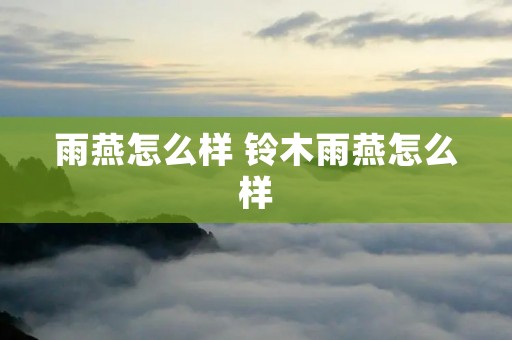 雨燕怎么样 铃木雨燕怎么样 雨燕怎么样 铃木雨燕怎么样