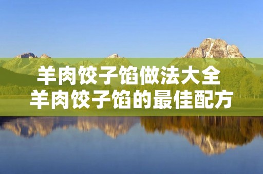 羊肉饺子馅做法大全 羊肉饺子馅的最佳配方