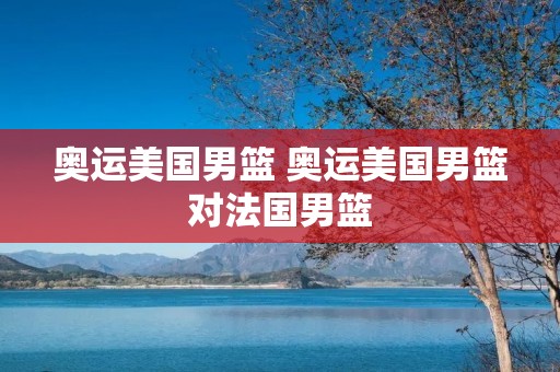 奥运美国男篮 奥运美国男篮对法国男篮