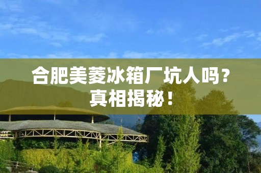 合肥美菱冰箱厂坑人吗？真相揭秘！