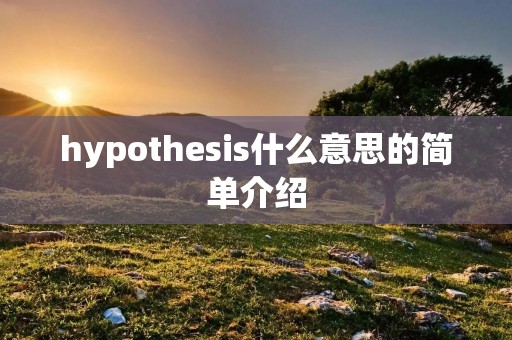 hypothesis什么意思的简单介绍