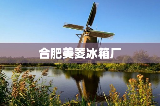 合肥美菱冰箱厂:探究产业工人的劳动状态 合肥美菱冰箱厂:探究产业工人的劳动状态