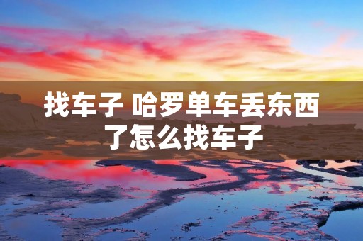 找车子 哈罗单车丢东西了怎么找车子