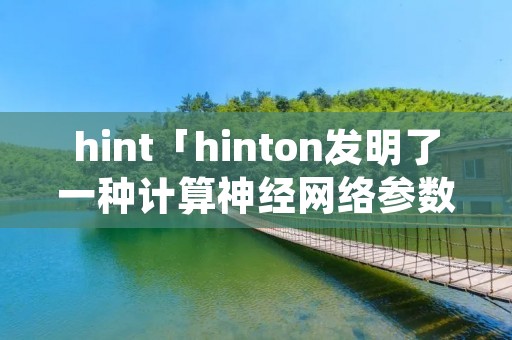 hint「hinton发明了一种计算神经网络参数的快速算法」