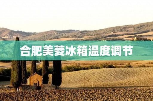 合肥美菱冰箱温度调节:如何正确设置温度? 合肥美菱冰箱温度调节:如何正确设置温度?
