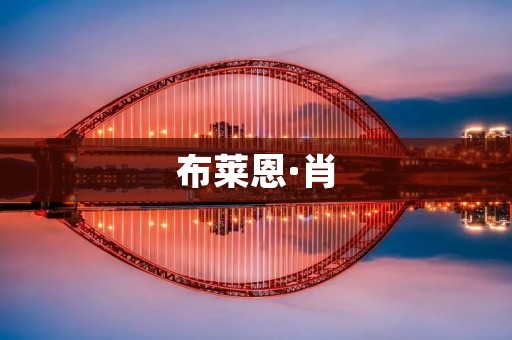 布莱恩·肖：一位探索人性的艺术家