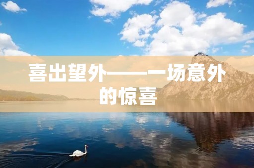 喜出望外——一场意外的惊喜