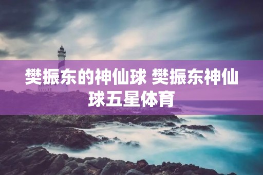 樊振东的神仙球 樊振东神仙球五星体育 樊振东的神仙球 樊振东神仙球五星体育