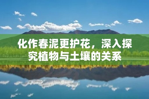 化作春泥更护花,深入探究植物与土壤的关系