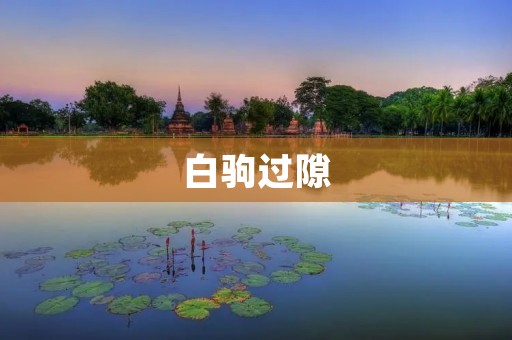 白驹过隙:时间的流逝,岁月的匆匆