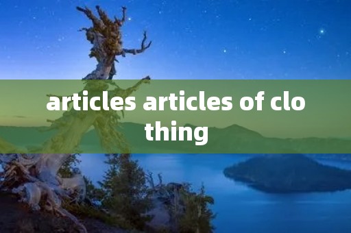 articles articles of clothing