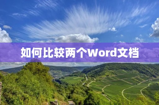如何比较两个Word文档