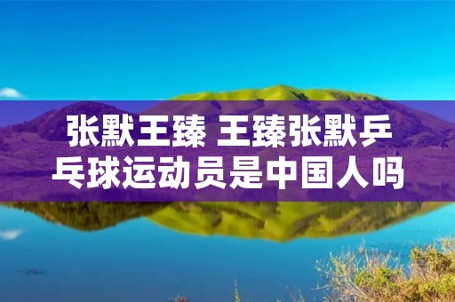 张默王臻 王臻张默乒乓球运动员是中国人吗