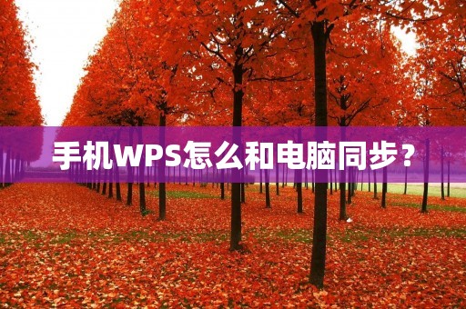 手机WPS怎么和电脑同步?