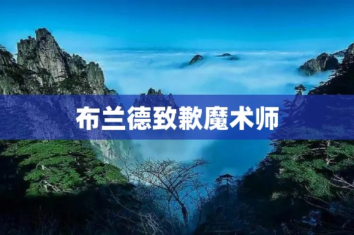 布兰德致歉魔术师：道歉与反思