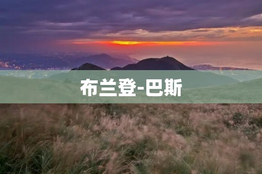布兰登-巴斯：沉淀历史的古城