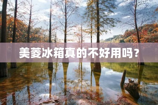 美菱冰箱真的不好用吗? 美菱冰箱真的不好用吗?