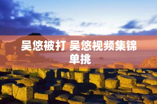 吴悠被打 吴悠视频集锦 单挑